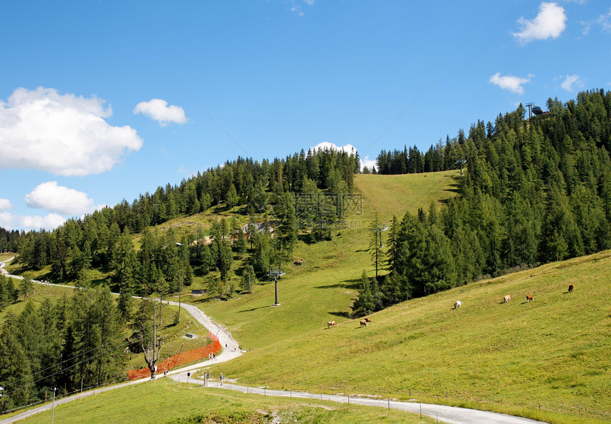 山地 牧场和人行道的阿尔卑斯山风景图片
