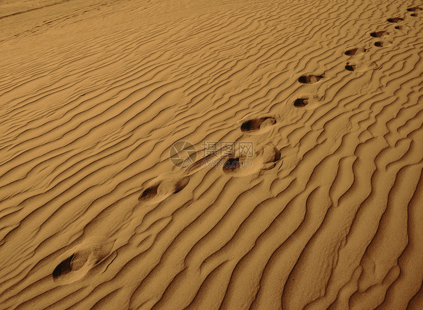 沙沙中的水平脚印图片
