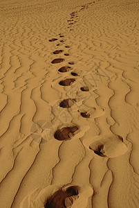 沙沙中的动画足迹背景图片