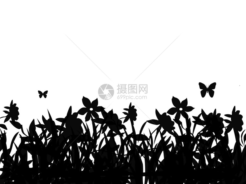 蝴蝶和鲜花环境鳞翅目动物植物草地白色黑色生态栖息地乡村图片