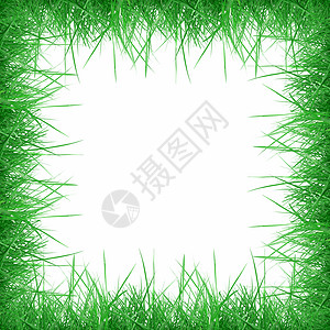 草框架问候语草地绿色插图白色卡片背景图片