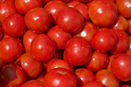 番茄蔬菜健康红色背景图片