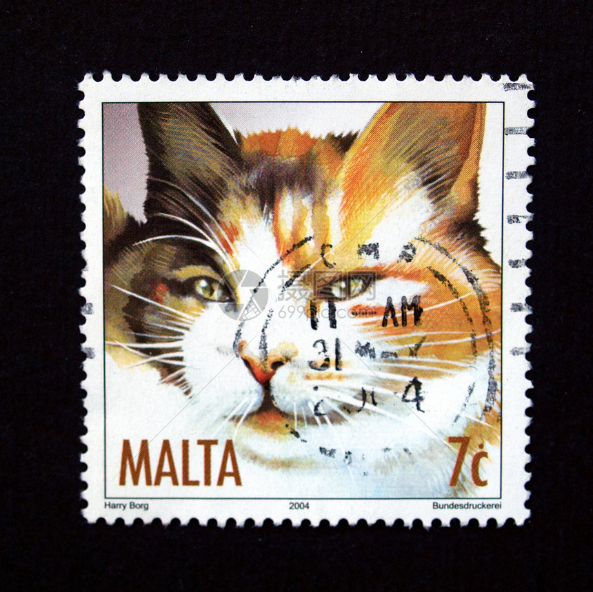 带有猫印章商业邮政信封邮件空气虎斑小猫船运白色邮资图片