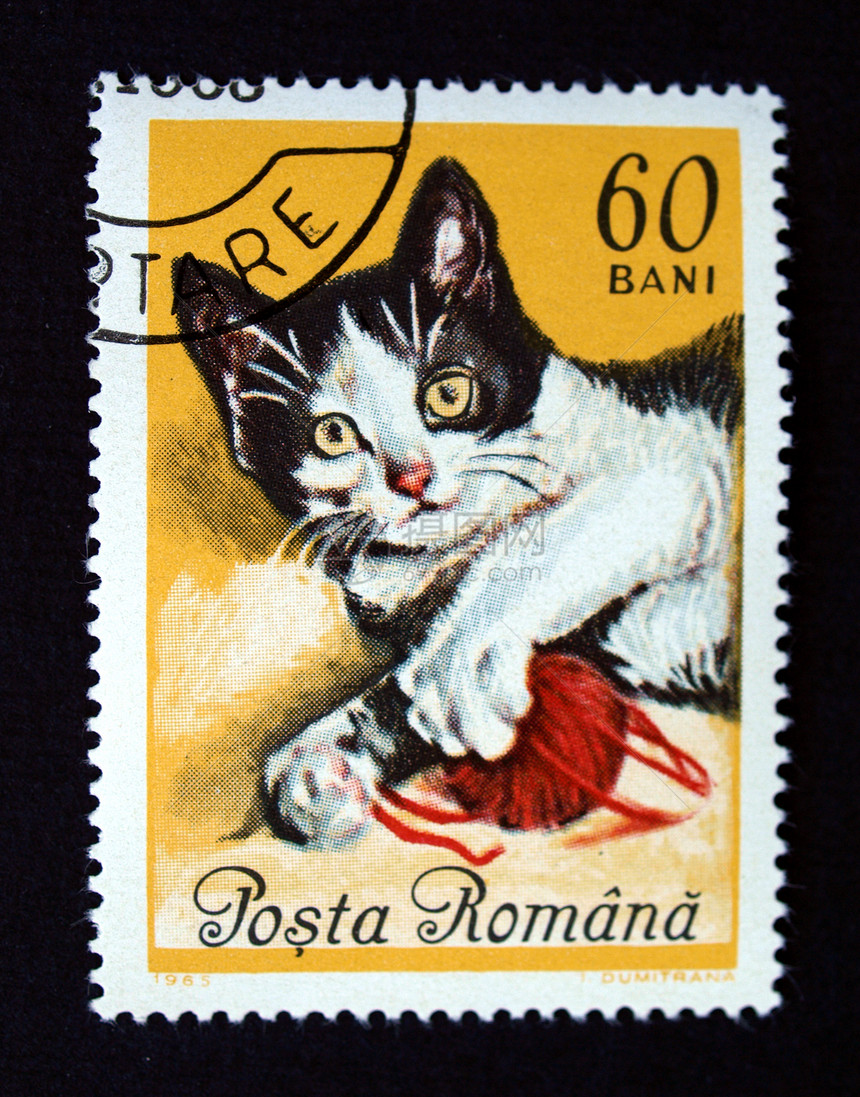 带有猫印章信封空邮邮资船运小猫虎斑仪表邮政空气邮件图片