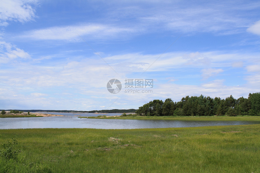 大自然在海洋中停留树木天空海草图片