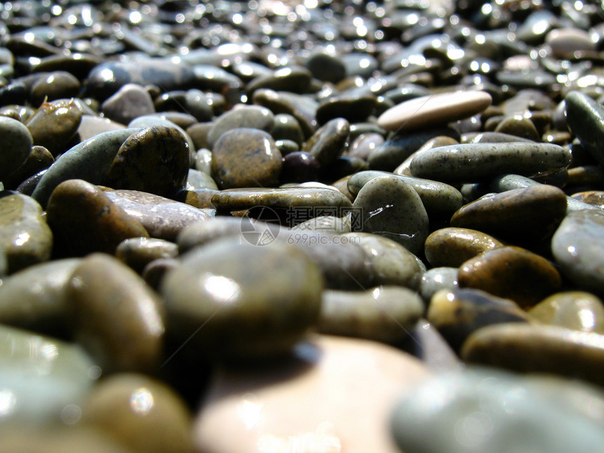 石头海岸卵石湿石图片
