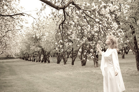 白娘子和许仙白娘子和白花公园公主小精灵树林白色衣服苹果树婚礼神话新娘背景