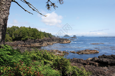 温哥华岛野太平洋轨迹背景