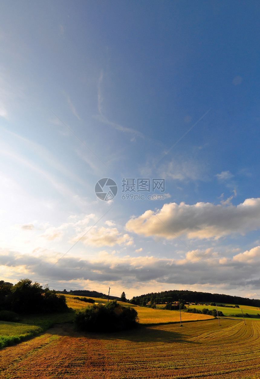 外地场地生长野花农业草地乡村蓝天图片