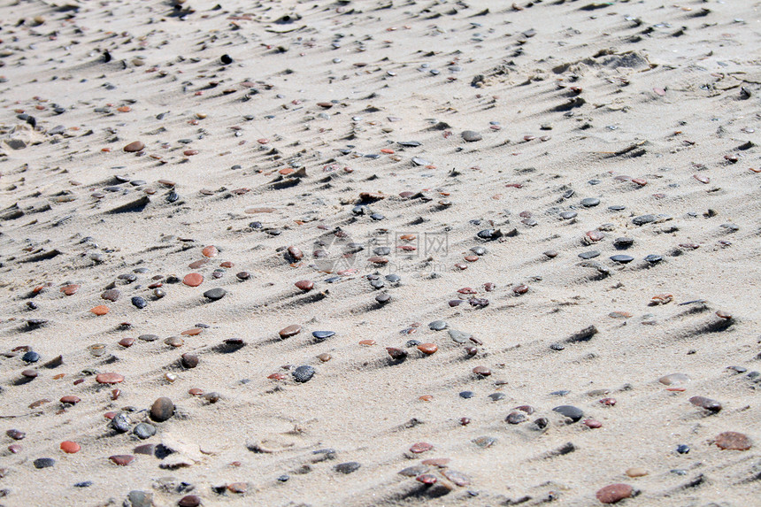海滩上沙石沙的纹理图片