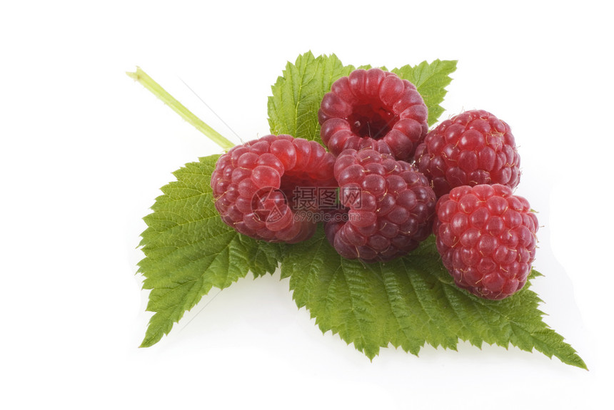 草莓在叶子上宏观维生素饮食白色粉色水果食物图片