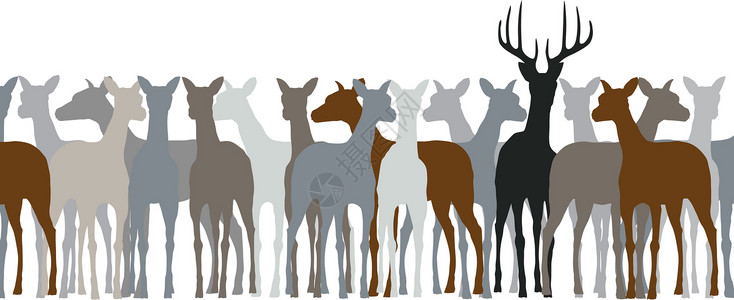 鹿群元素野生动物设计插图动物群场景后宫动物插画
