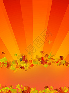 秋季矢量背景曲线橙子天气黄色插图太阳绘画生长叶子红色背景图片