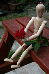 红玫瑰 为爱的一首特辑女性红色男性热情概念玫瑰奉献希望背景图片