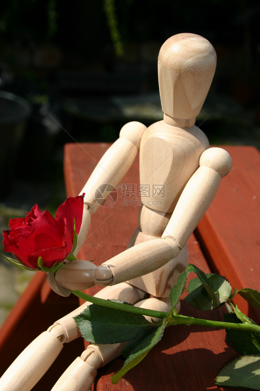 红玫瑰 为爱的一首特辑男性玫瑰热情女性概念希望奉献红色图片