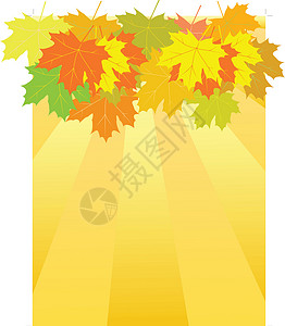 矢量秋叶黄色橙子树叶曲线天气叶子红色绘画季节生长背景图片