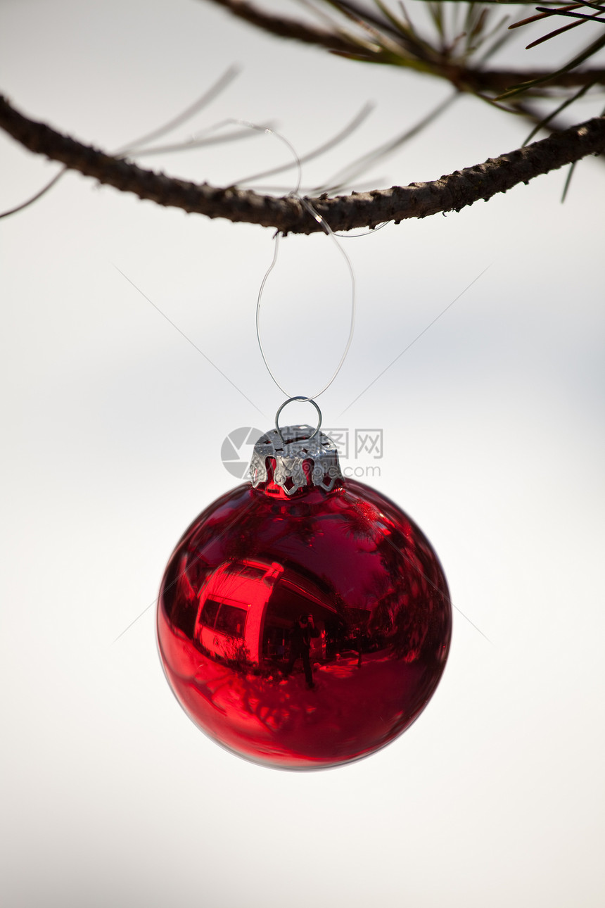 户外红色圣诞节反射丝带装饰品云杉活力雪花白色图片