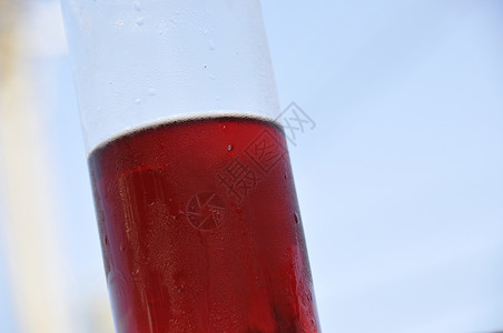 葡萄酒港口红色白色庆典玻璃背光背景图片