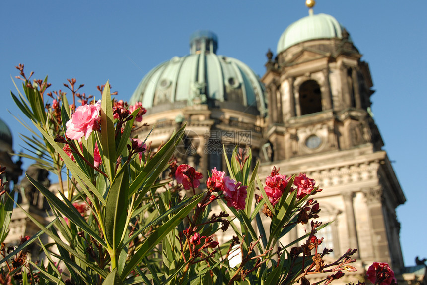 柏林大教堂穿过鲜花图片