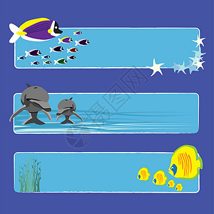 再战1波鱼旗1 无文字野生动物海洋框架海浪横幅边界艺术网络植物白色插画