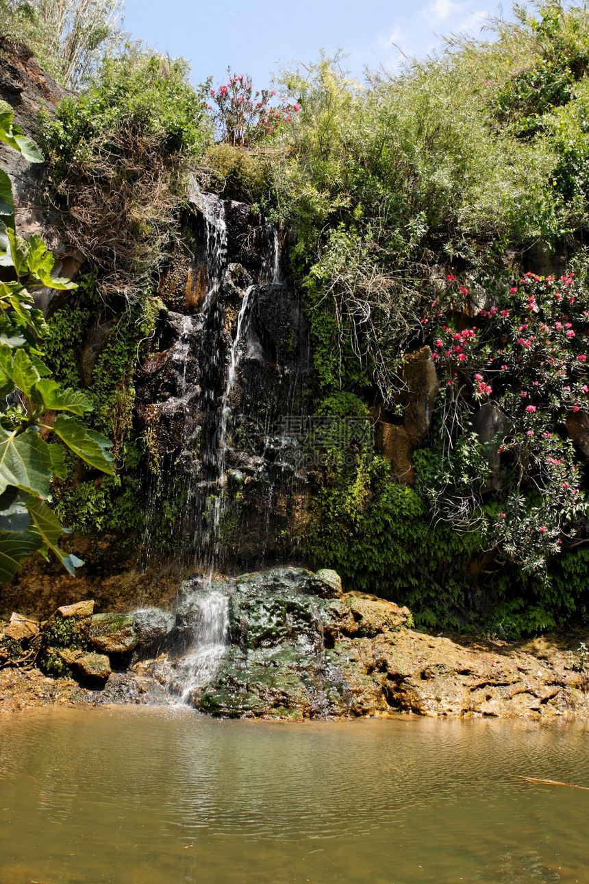 在灌木丛和鲜花之间 瀑布落在黑玄武岩上图片