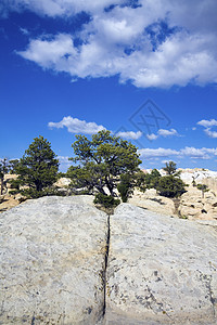 El Morro国家纪念碑的切克岩石背景图片