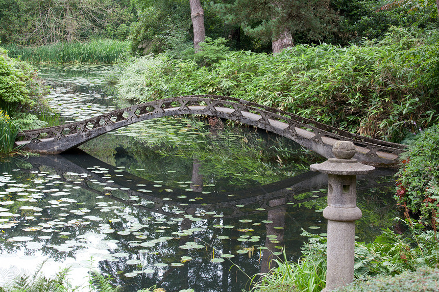 日本花园园艺园林花朵池塘反射石头公园绿色冥想绿化图片