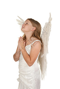 年轻天使在白色背景上祈祷背景图片