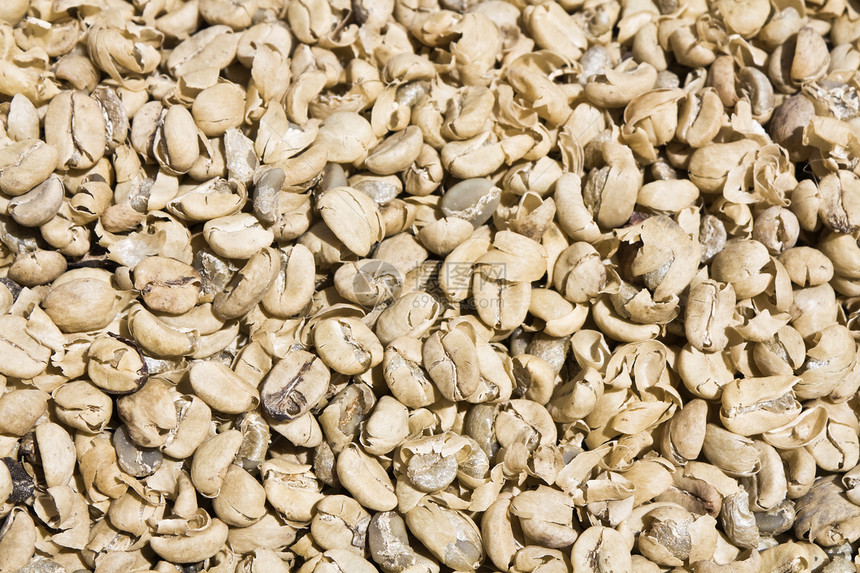 咖啡贸易豆子种植园种子农业图片