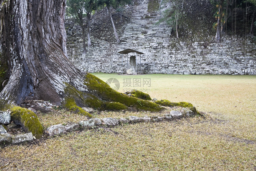 二次曲线考古学宗教历史建筑文化旅行热带雨林脚步金字塔外观图片