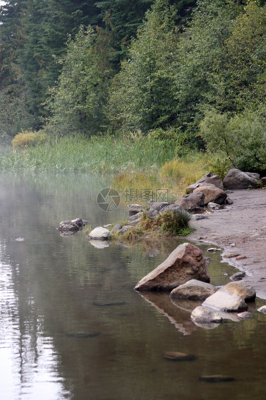 反射在湖 OR 照片拍摄在洪角国家森林 OR岩石树木薄雾叶子池塘溪流森林树叶国家图片
