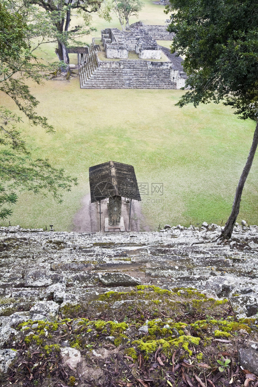 古代科潘的废墟外观结构热带雨林绿色宗教建筑金字塔寺庙脚步历史图片