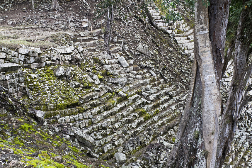 古代科潘的楼梯历史流浪热带雨林建筑学考古学绿色住民结构建筑石头图片