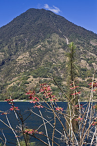 阿提兰湖附近的火山高清图片