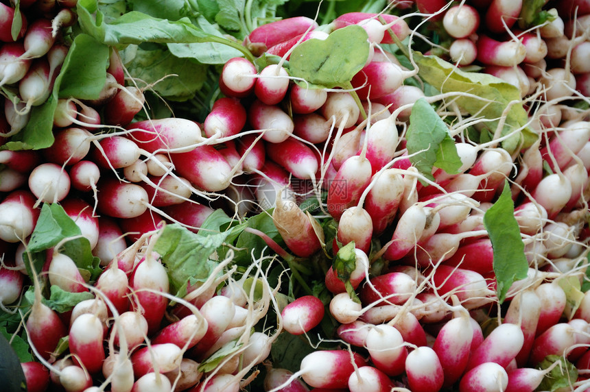 半紫食物营养红色沙拉收成市场小吃蔬菜花园生产图片