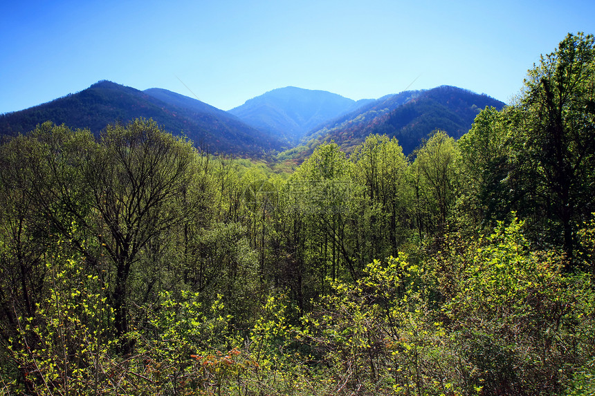 烟雾山区国家公园大路国家地质学疾病公园环境松树地球蓝色远足图片