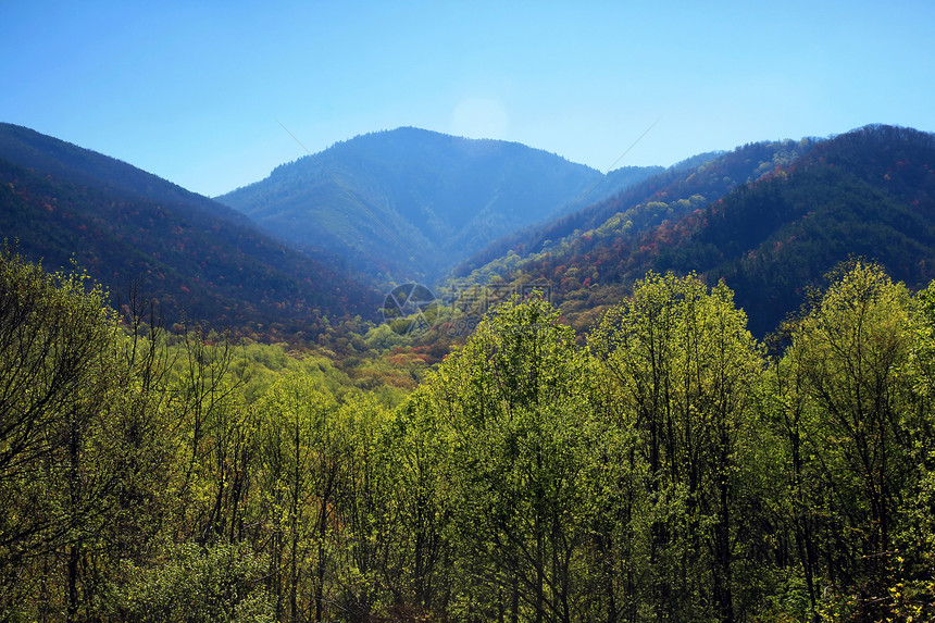 烟雾山区国家公园森林大路季节公园疾病环境地球国家蓝色首脑图片