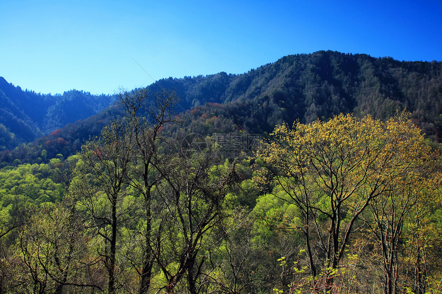烟雾山区国家公园首脑顶峰蓝色远足公园地质学生态疾病背包旅行图片