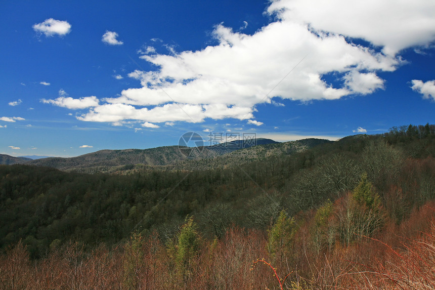 烟雾山区国家公园松树场景背光背包旅游地质学森林首脑蓝色大路图片