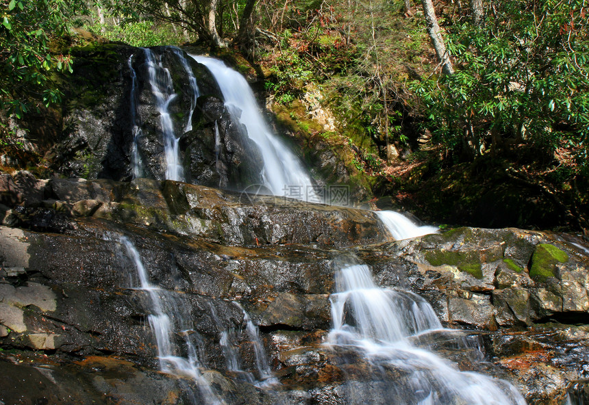 劳蕾尔瀑布在斯莫基山脉NP旅游山脉桂冠巨石公园瀑布踪迹环境林地溪流图片