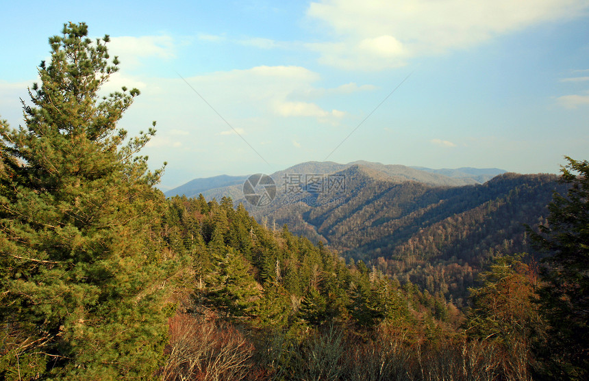 烟雾山区国家公园树叶大路国家顶峰场景地球首脑蓝色旅行公园图片