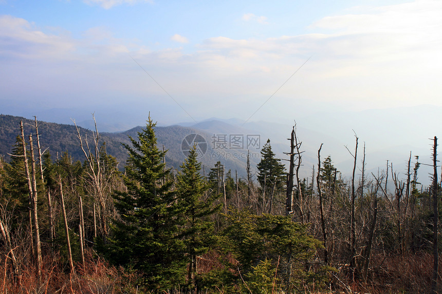 烟雾山区国家公园顶峰森林旅游大路地质学公园季节松树疾病国家图片