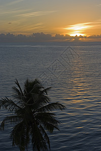 经典日落-佛罗里达州高清图片