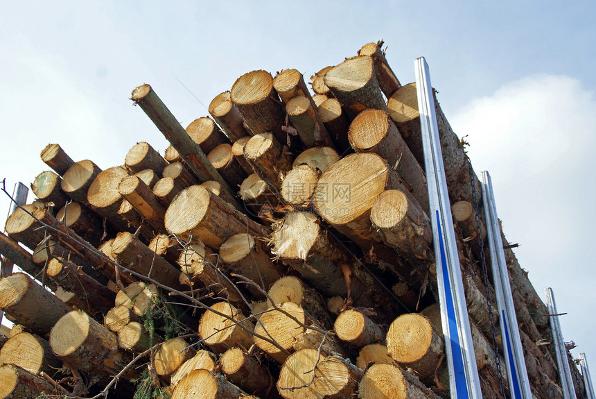 伐木卡车拖车上的能源木材图片