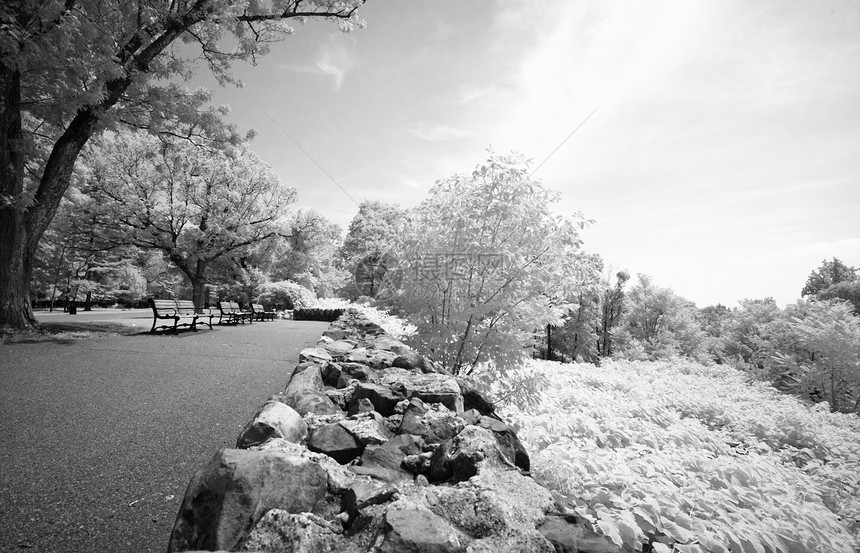 新泽西的南山保留地美化阴影红外线石头公园梦幻灌木丛棕褐色球衣风景图片