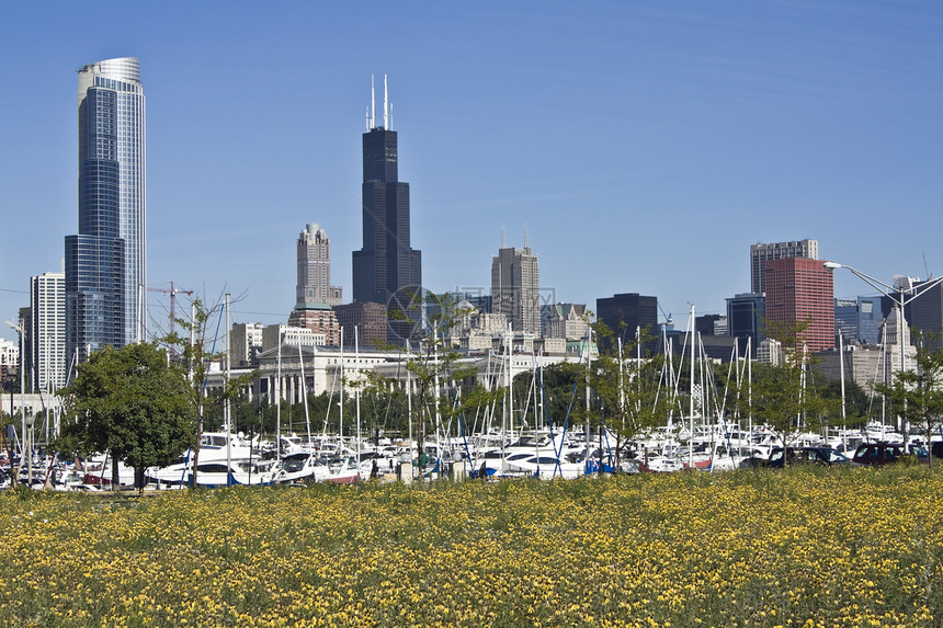 芝加哥办公楼数结构风景名楼建筑学杂草都市圆圈景观城市设备图片