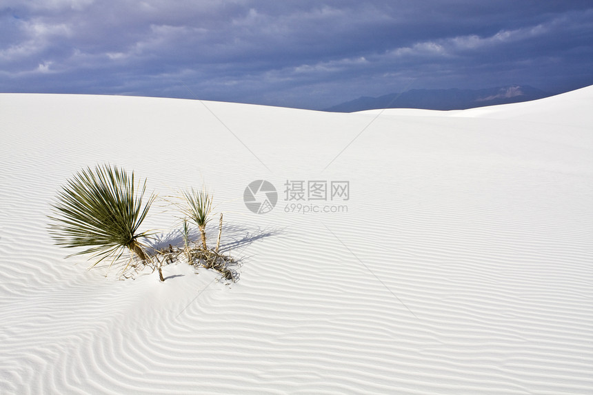 清晨在白沙丘国家纪念碑图片