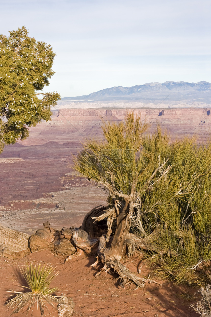 Canyonland国家公园景观图片