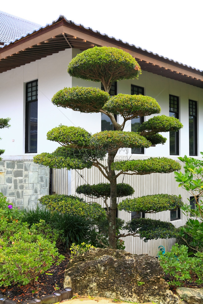 著名的日本传统园艺花园平衡冥想建筑学池塘公园木头图片
