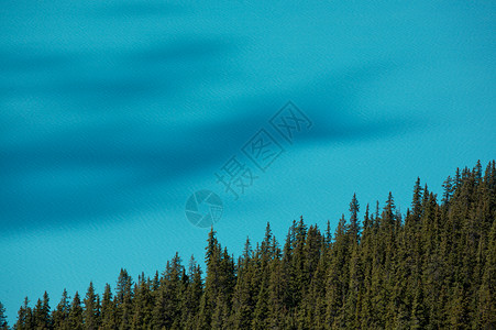 Peyto湖 班夫国家公园旅游晴天阳光天空峰会树木太阳蓝色山峰高山背景图片